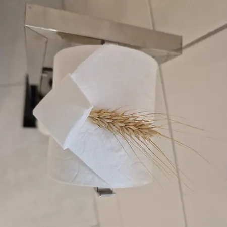 D'hotes Chez Linda Stéphane Le Passé Composé 3*